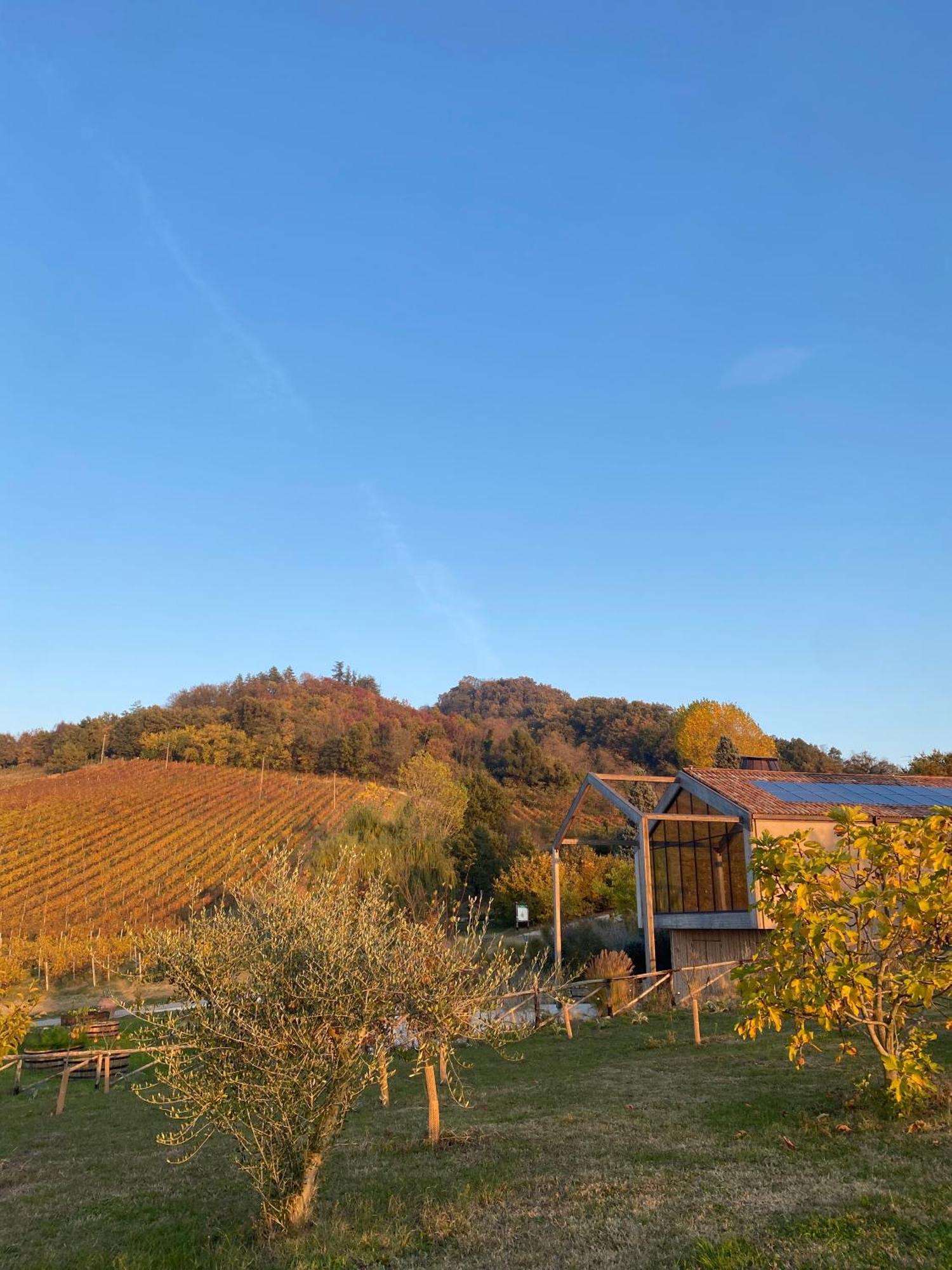 Corte D'Aibo Monteveglio Kültér fotó