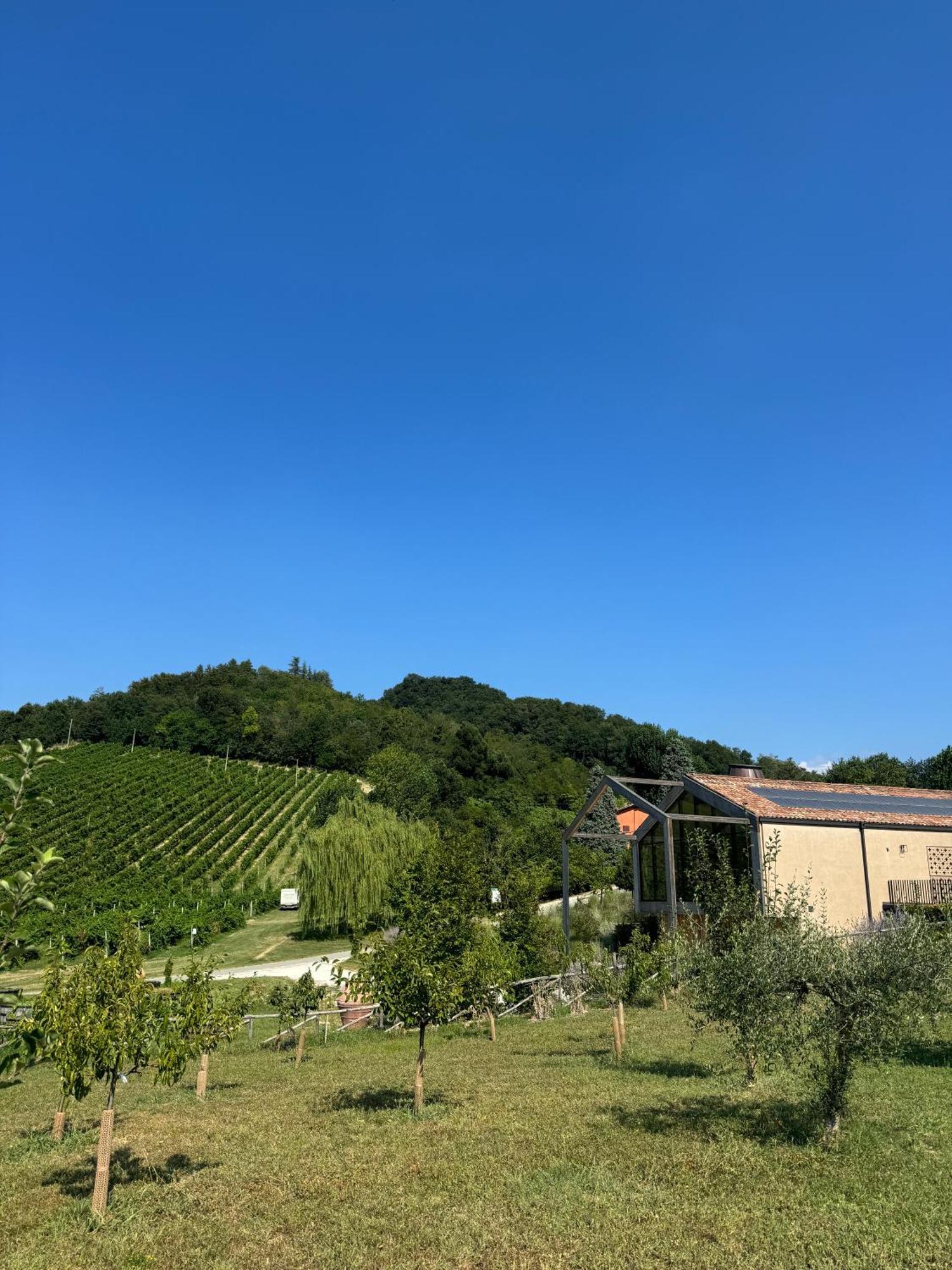 Corte D'Aibo Monteveglio Kültér fotó