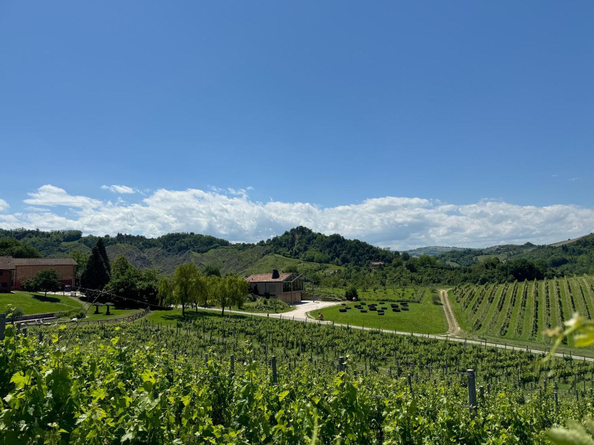 Corte D'Aibo Monteveglio Kültér fotó