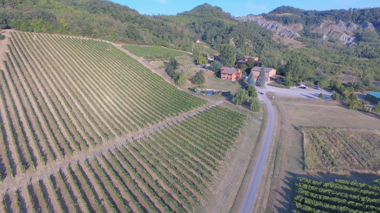 Corte D'Aibo Monteveglio Kültér fotó